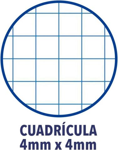 BLOC A4 80H. TE. COLOR OXFORD