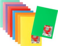 CARPETA Fº 30 FUNDAS POLIPLAS TRANS.COL.SURT.