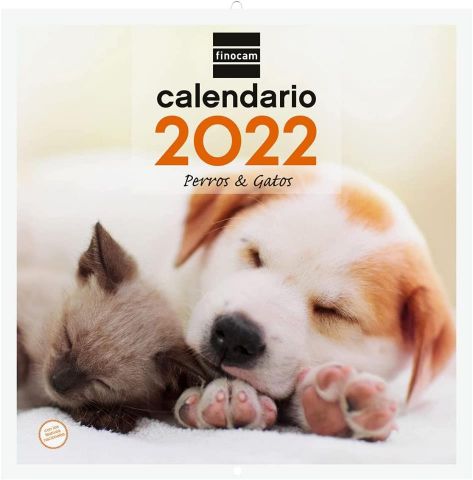 CALENDARIO PARED 30X30 IMAGENES SURT.