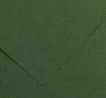 CARTULINA 50X65 COLOR  VERDE SELVA