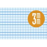 RECAMBIO LAMELA Fº 100H. C/3 MM