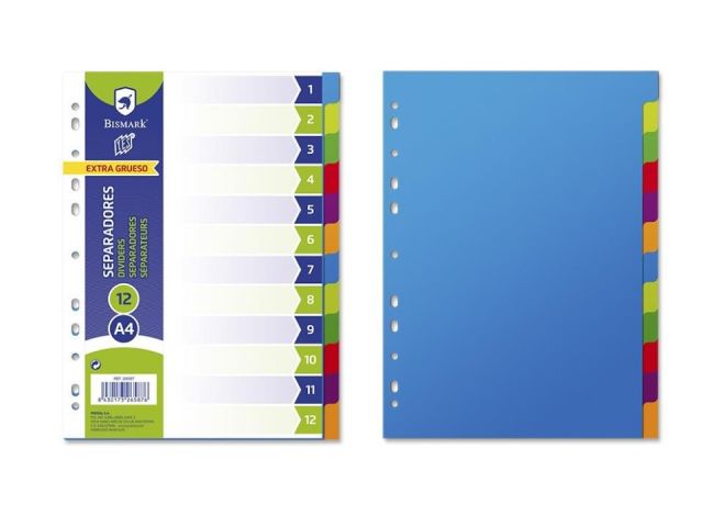 SEPARADORES RIGIDOS A4 12 PESTAÑAS